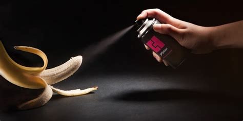 Blowjob without Condom Erotic massage Concepcion